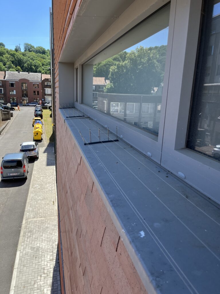 Fils anti-pigeons alignés sur un long appui métallique sous les fenêtres de la bibliothèque