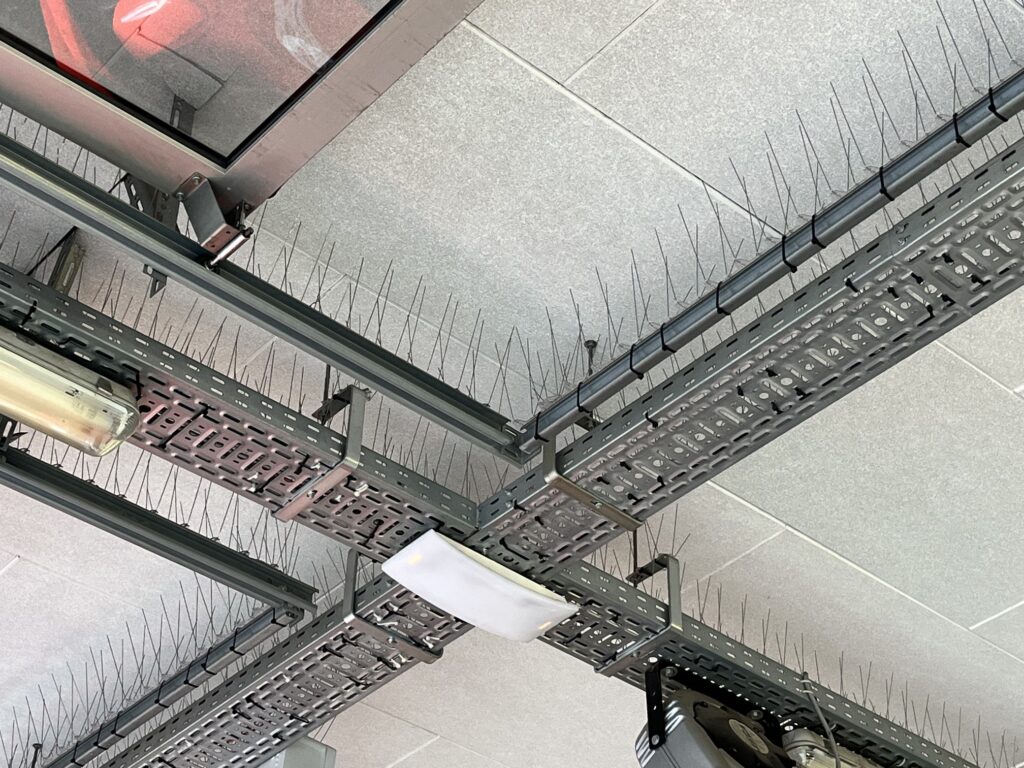 Pics anti-pigeons autour du croisement des chemins de câbles et conduites