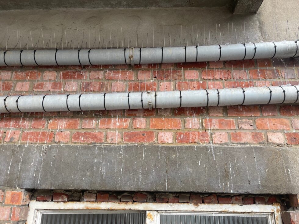 Rangées de pics anti-pigeons sur deux conduites horizontales devant un mur en briques